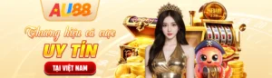 banner1