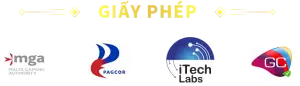 giấy phép au88